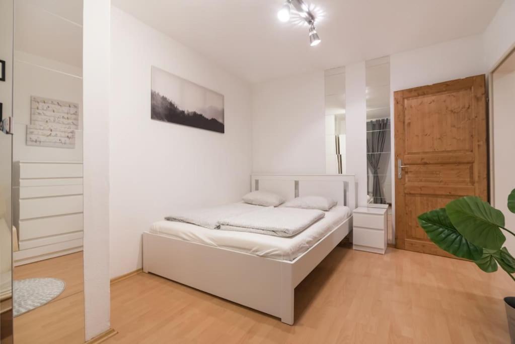 Spacious Central Apartment Viyana Dış mekan fotoğraf