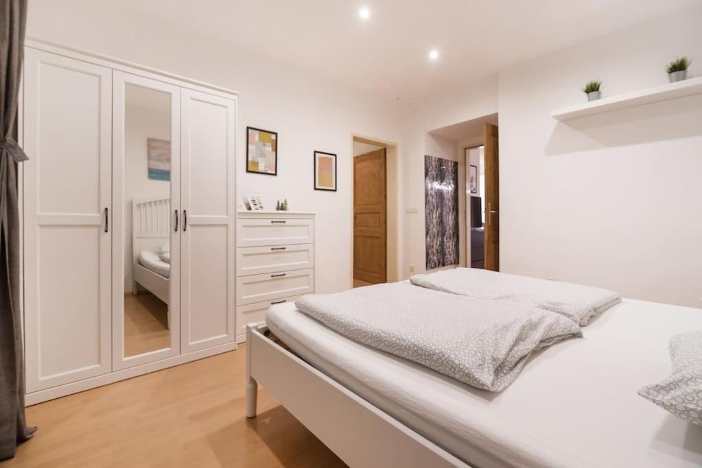 Spacious Central Apartment Viyana Dış mekan fotoğraf